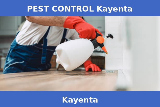 PEST CONTROL Kayenta